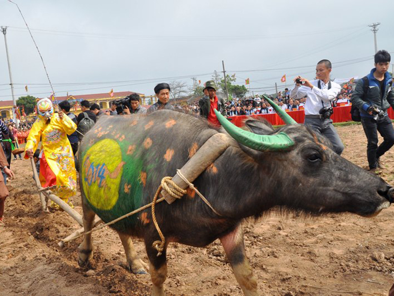 Ấn tượng một miền quê